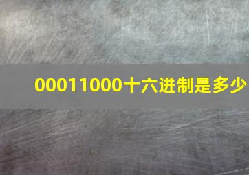 00011000十六进制是多少