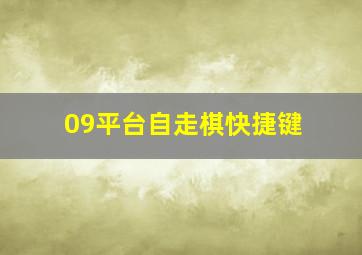 09平台自走棋快捷键