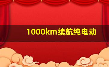 1000km续航纯电动