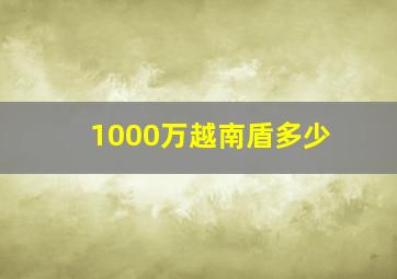 1000万越南盾多少