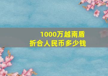 1000万越南盾折合人民币多少钱