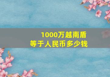 1000万越南盾等于人民币多少钱