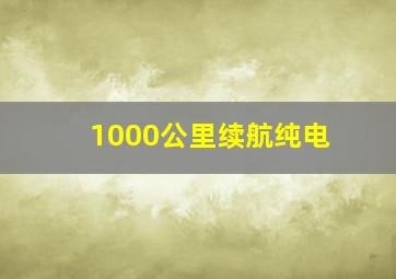 1000公里续航纯电