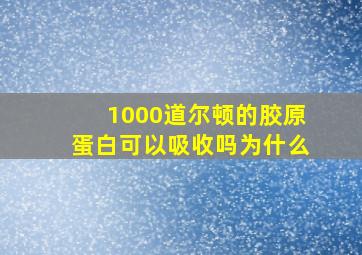 1000道尔顿的胶原蛋白可以吸收吗为什么