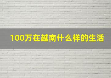 100万在越南什么样的生活