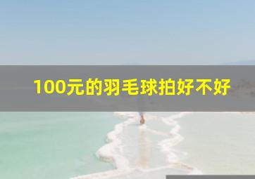 100元的羽毛球拍好不好