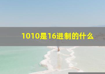 1010是16进制的什么