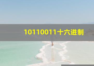 10110011十六进制