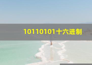 10110101十六进制