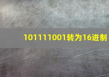 101111001转为16进制