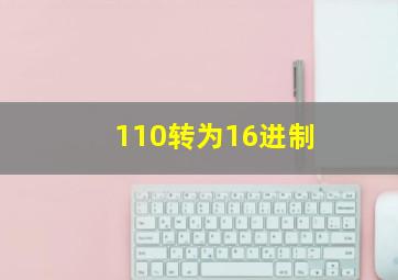 110转为16进制