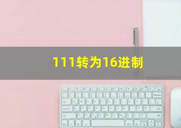 111转为16进制