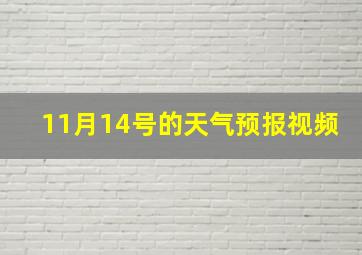 11月14号的天气预报视频