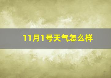 11月1号天气怎么样