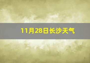 11月28日长沙天气