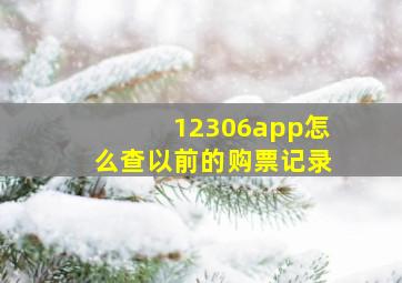 12306app怎么查以前的购票记录