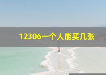 12306一个人能买几张