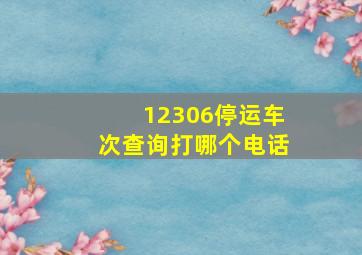 12306停运车次查询打哪个电话