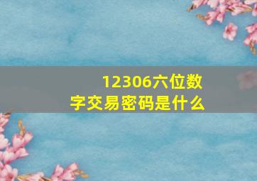 12306六位数字交易密码是什么