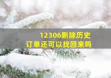 12306删除历史订单还可以找回来吗