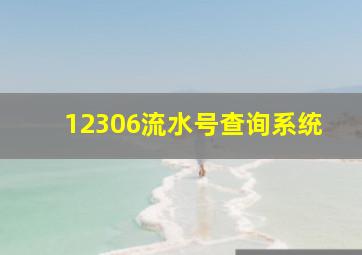 12306流水号查询系统