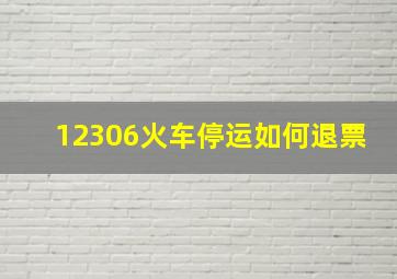 12306火车停运如何退票