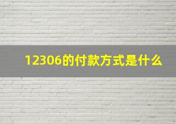 12306的付款方式是什么