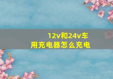 12v和24v车用充电器怎么充电