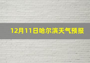 12月11日哈尔滨天气预报