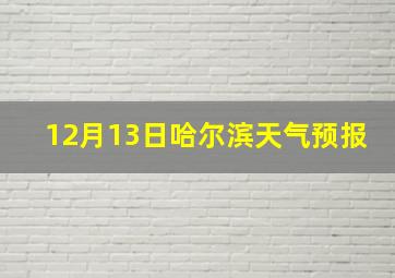 12月13日哈尔滨天气预报