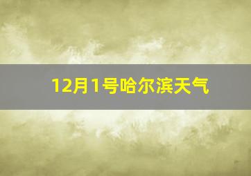 12月1号哈尔滨天气