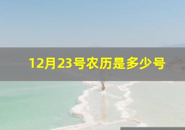 12月23号农历是多少号