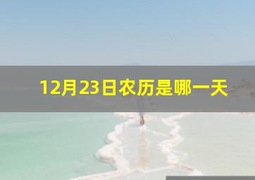 12月23日农历是哪一天