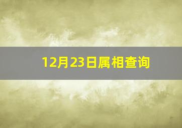 12月23日属相查询