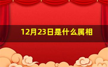 12月23日是什么属相