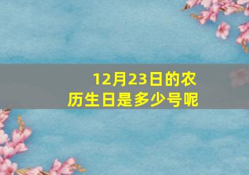 12月23日的农历生日是多少号呢