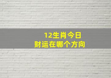 12生肖今日财运在哪个方向