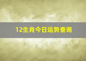 12生肖今日运势查询