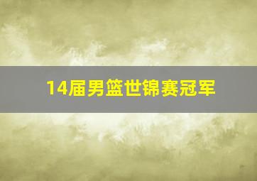 14届男篮世锦赛冠军