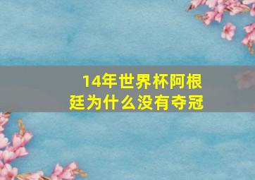 14年世界杯阿根廷为什么没有夺冠