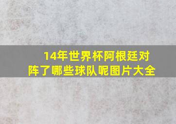 14年世界杯阿根廷对阵了哪些球队呢图片大全