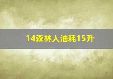 14森林人油耗15升