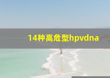 14种高危型hpvdna