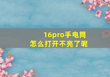 16pro手电筒怎么打开不亮了呢