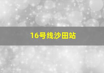 16号线沙田站