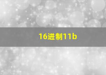 16进制11b