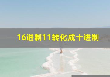 16进制11转化成十进制