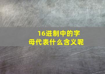 16进制中的字母代表什么含义呢