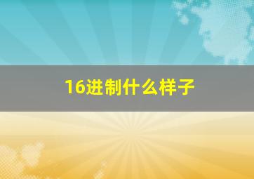 16进制什么样子