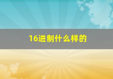 16进制什么样的